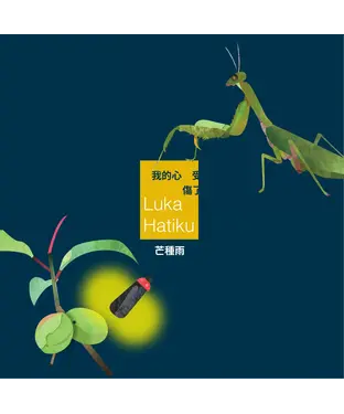 書封 我的心受傷了Luka Hatiku